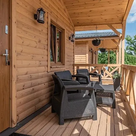 In With & * דוז'ניקי ז'דרוז'