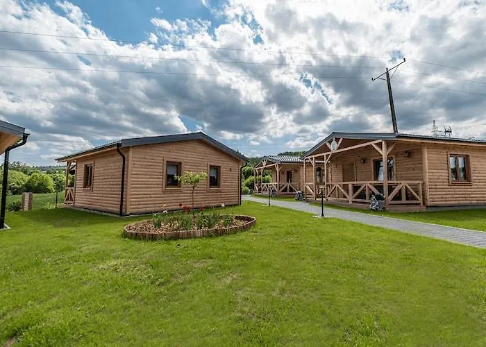 In With & * דוז'ניקי ז'דרוז'